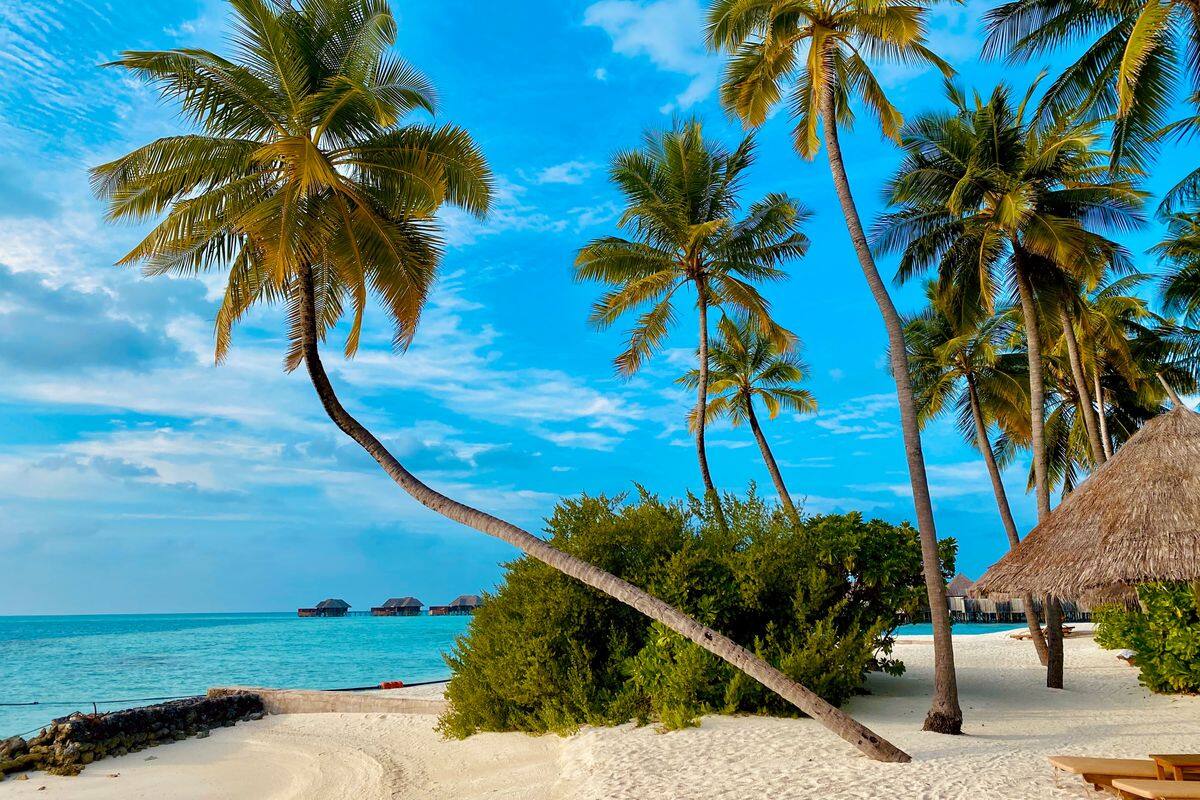 Fotos da excursão da Goey Pictures em Ilha Saona, Punta Cana
