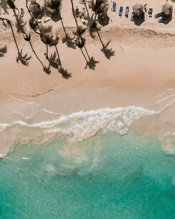 Dreams Palm Beach