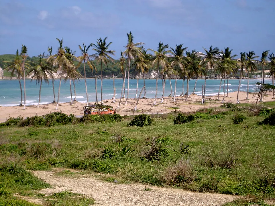 Bávaro Adventures