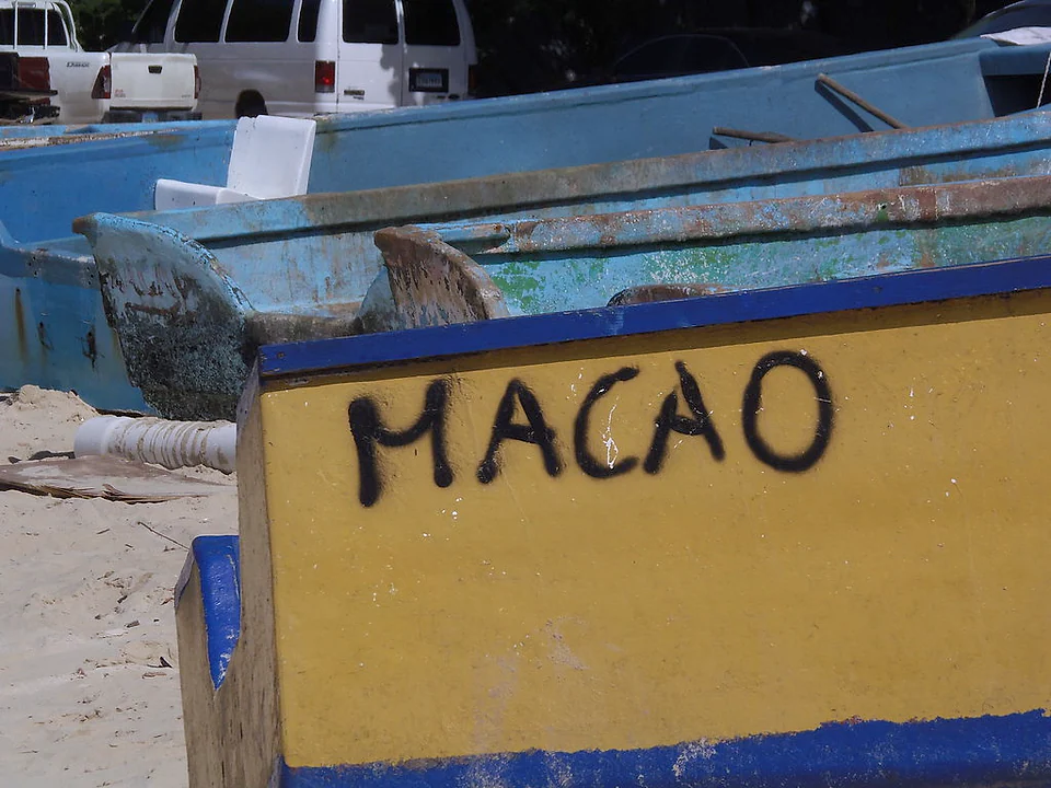 Bávaro Adventures