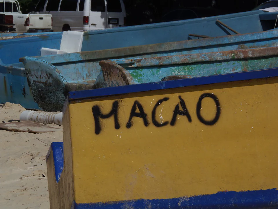 Bávaro Adventures