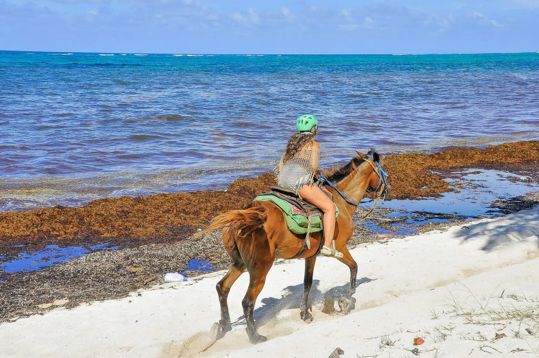 Bavaro Horses Back Ridding — fotka 1