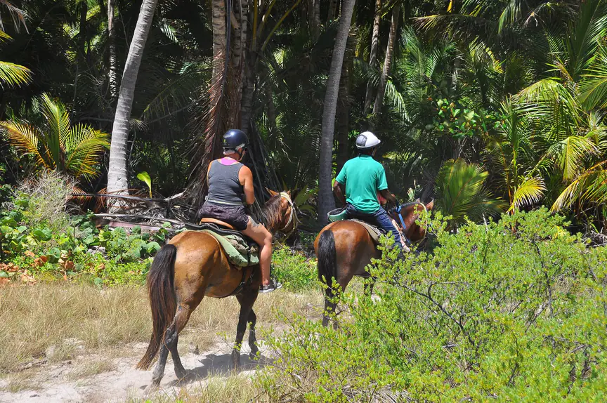 Bavaro Horses Back Ridding — fotka 2