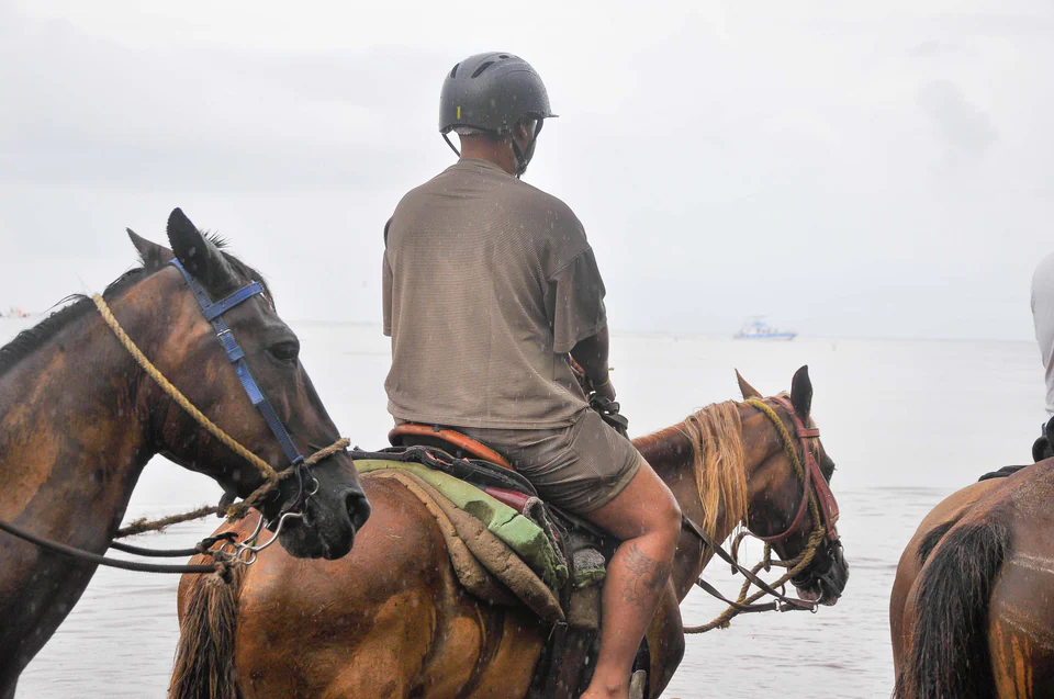 Bavaro Horses Back Ridding — fotka 5
