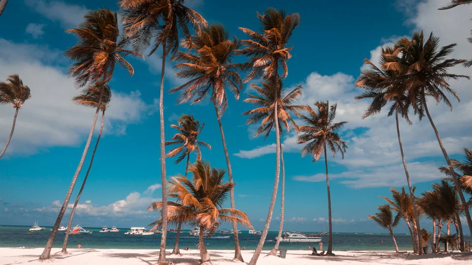 Bávaro Marina Caribe