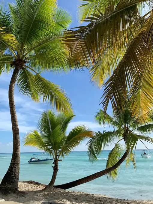 Caribbean Tours
