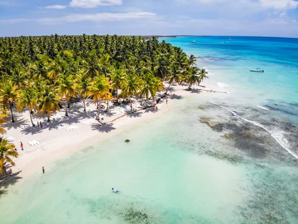 Caribbean Tours — foto 2