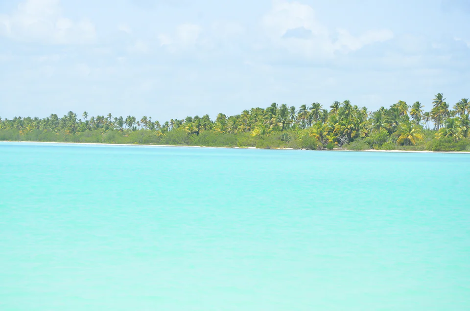 Saona 5 Perlas — foto 5