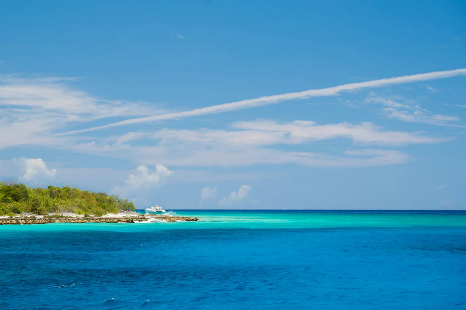 Saona Catalina Nexus