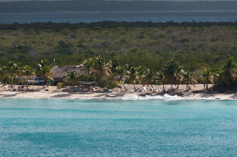 Saona Catalina Nexus