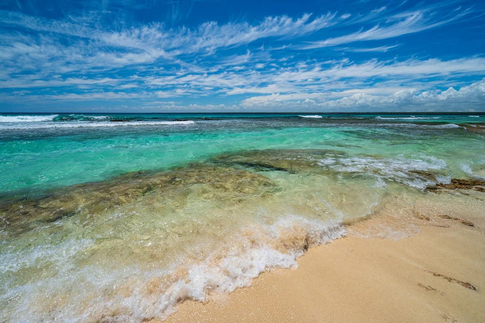 Saona Catalina Nexus
