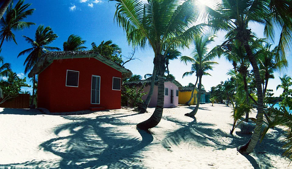 Saona Catalina Nexus
