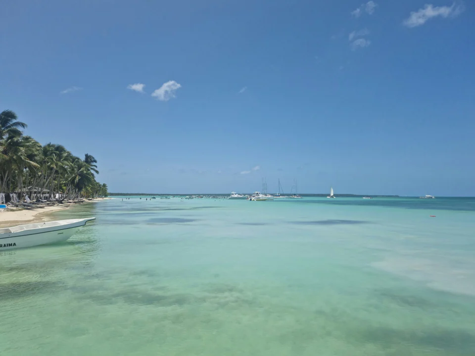 Saona Ignite