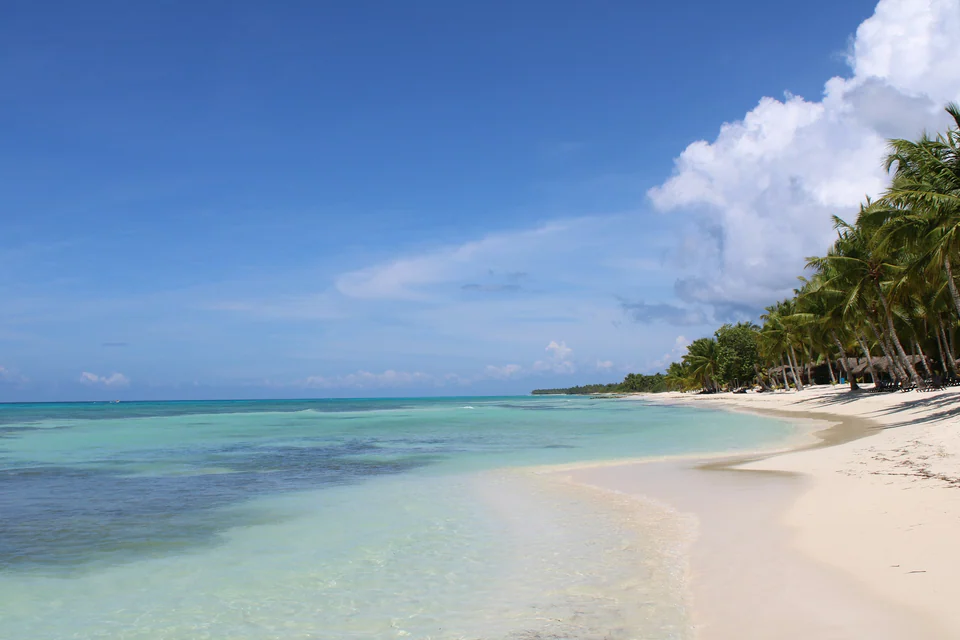 Saona Ignite
