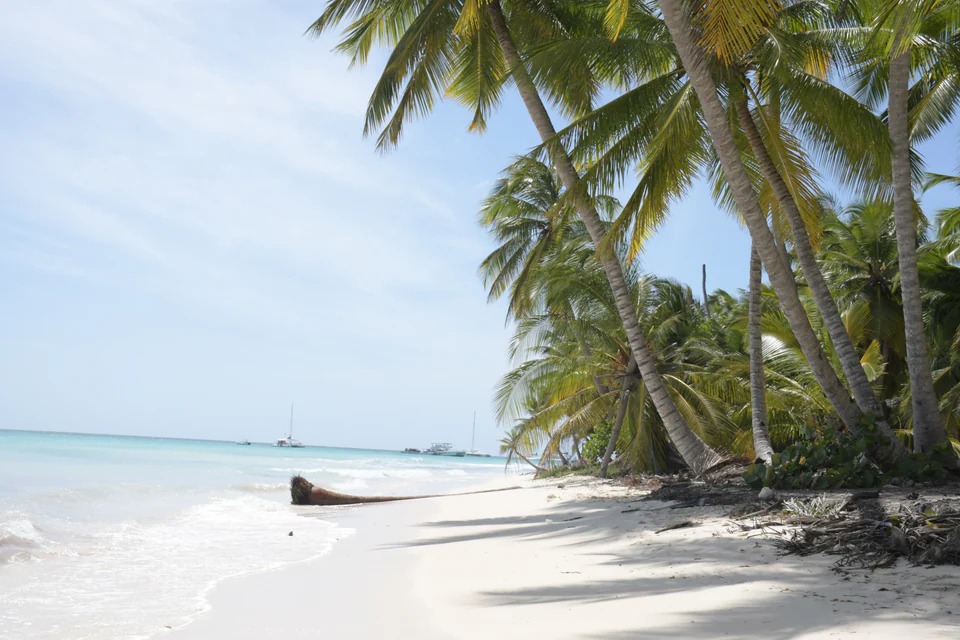 Saona Relax — foto 3