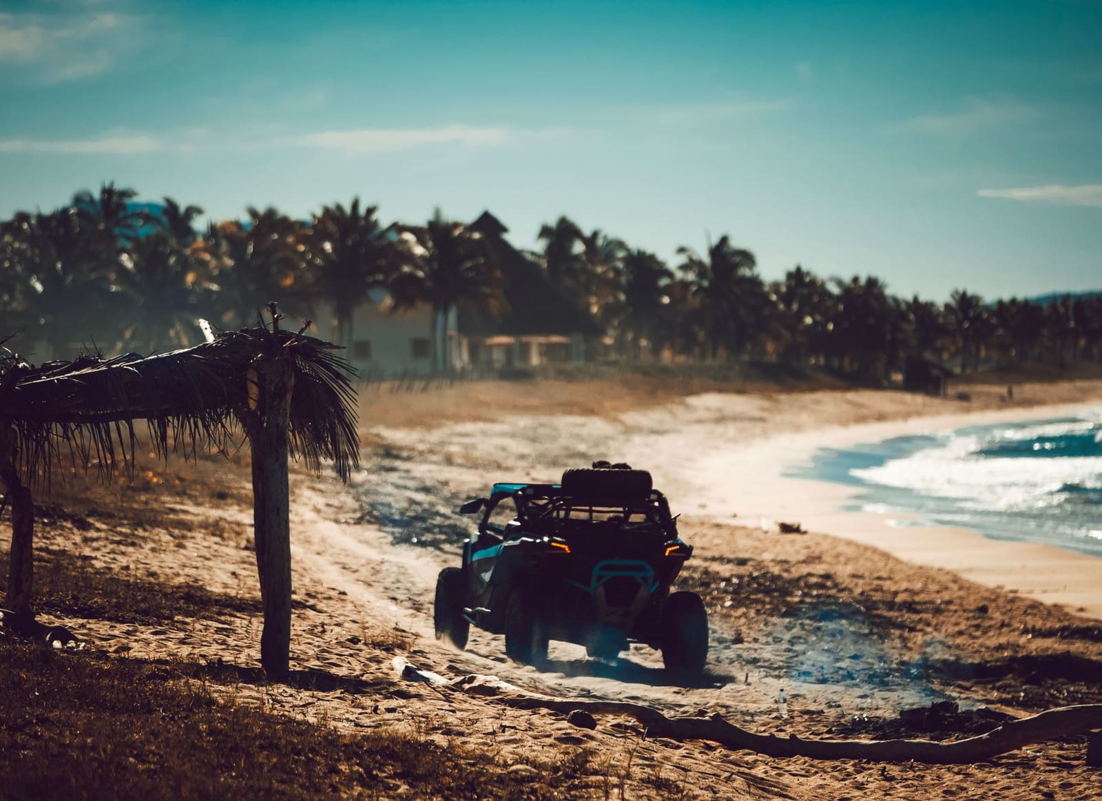 Escena ilustrativa de la excursión a Evolution Park — foto de Ludvig Hedenborg vía Pexels