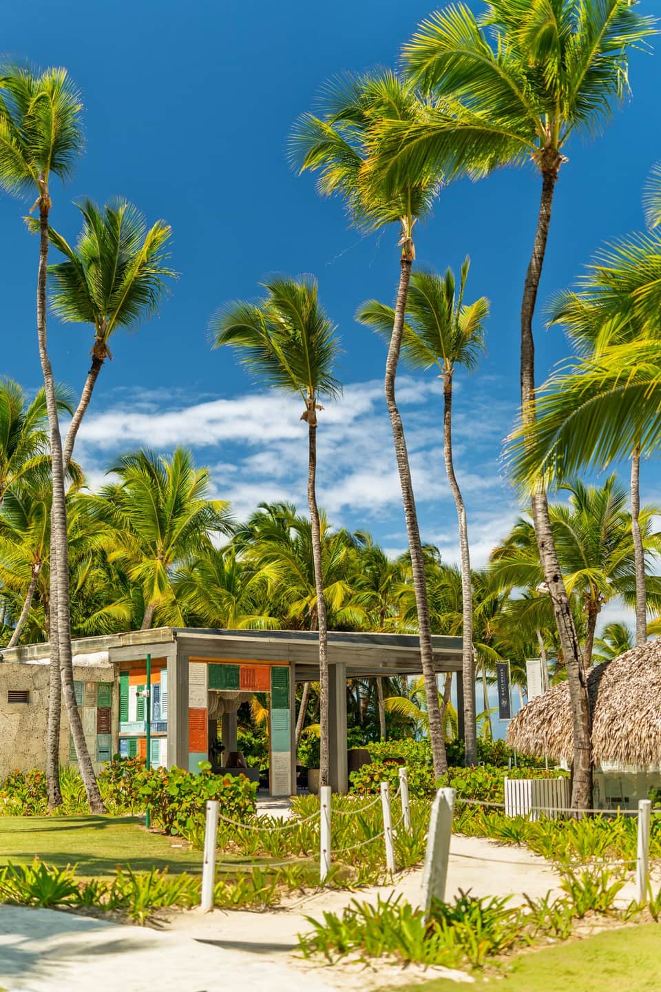 Scène uit de Bávaro-strand-excursie — foto door Krystian Stanislaw Adamowicz via Pexels