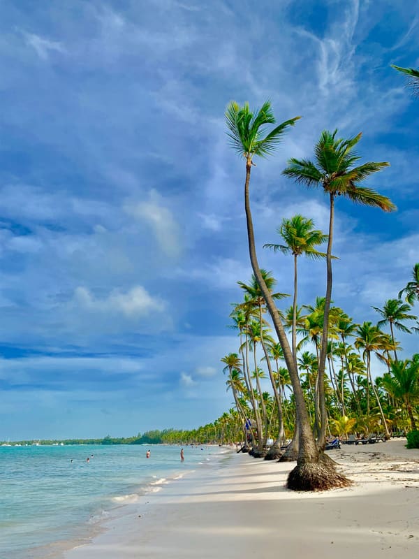 Punta Cana white-sand beach scene with palms
