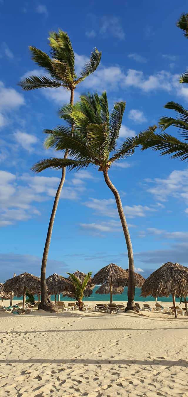 Best Time of Year to Visit Punta Cana