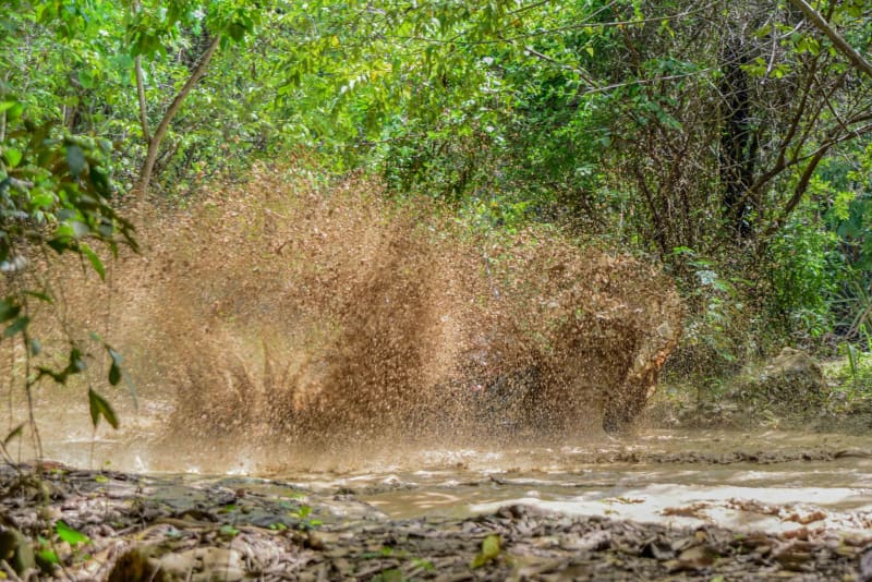 Фото: Goey Pictures