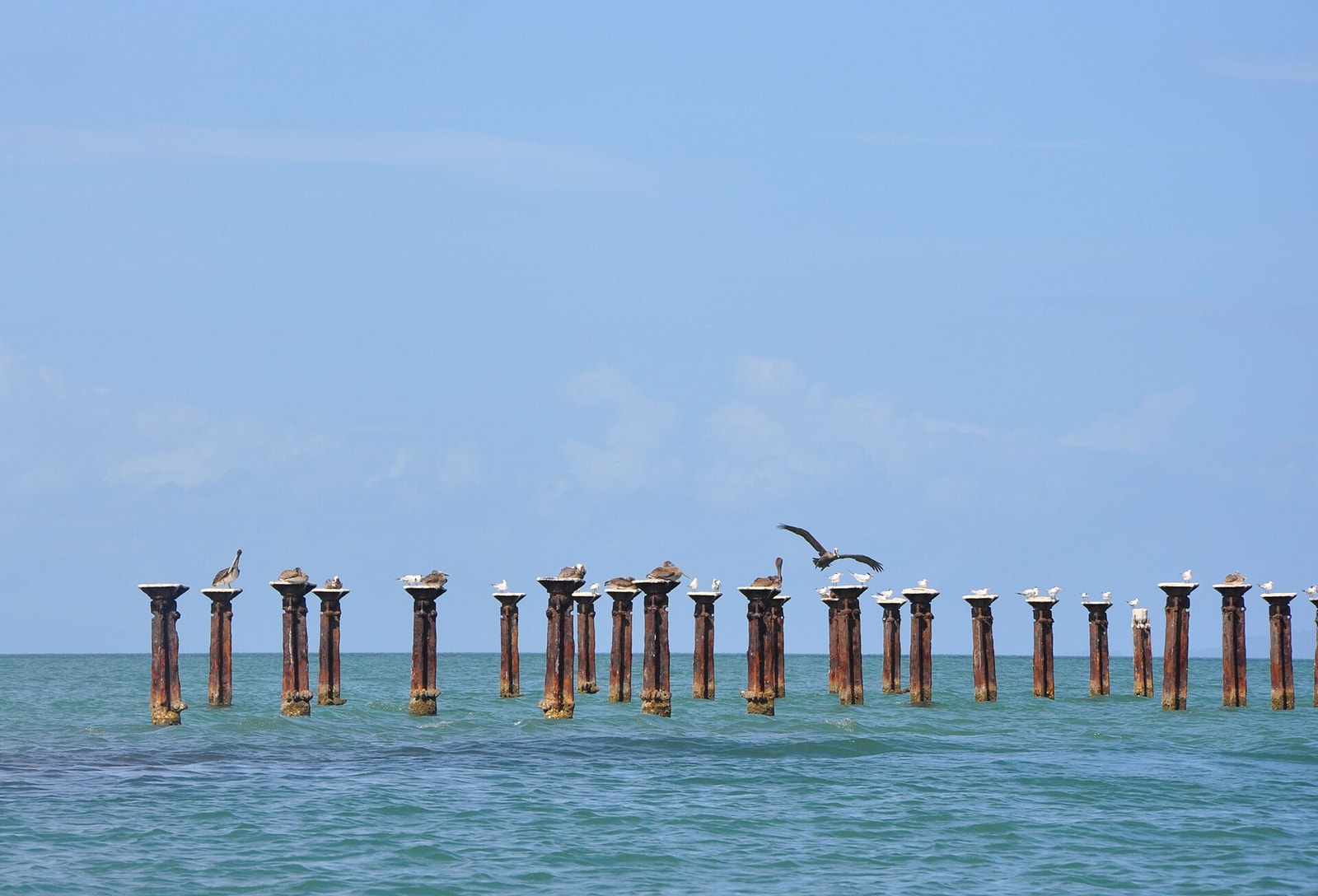 Parco Nazionale Los Haitises, Repubblica Dominicana — foto di Starus via Wikimedia Commons