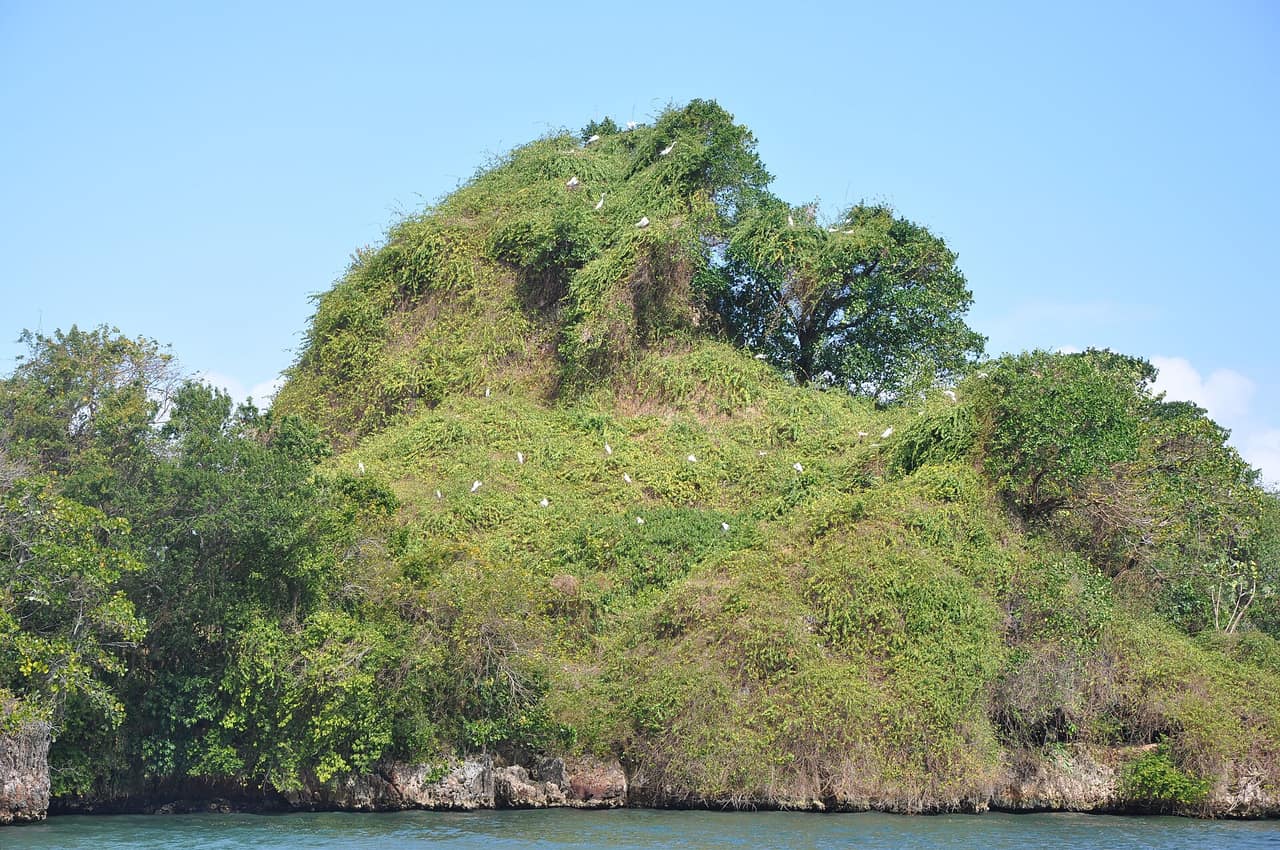 Parco Nazionale Los Haitises, Repubblica Dominicana — foto di Starus via Wikimedia Commons