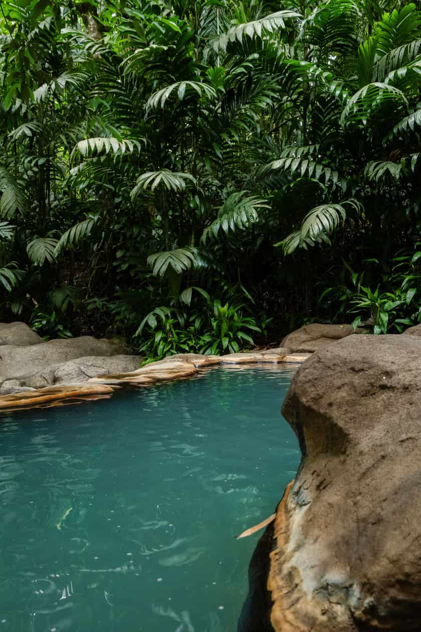 Escena ilustrativa de la excursión a Cenote Hoyo Azul — foto de Sean Ingram vía Pexels