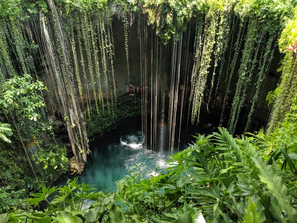 Deep blue cenote with hanging vines and clear water