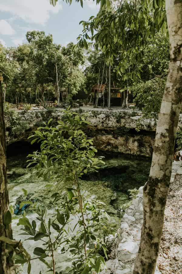 Natural jungle cenote pool with vivid blue water