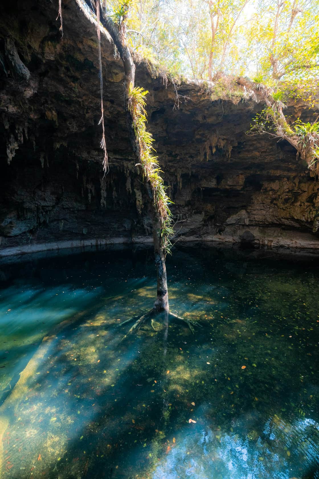Szene zur Veranschaulichung des Ausflugs nach Cenote Hoyo Azul — Foto von Nick Chung von Unsplash