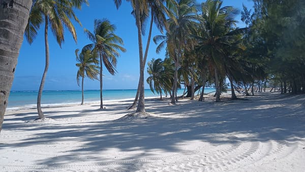 Zdjęcie ilustrujące wycieczkę Plaża Juanillo w Dominikanie