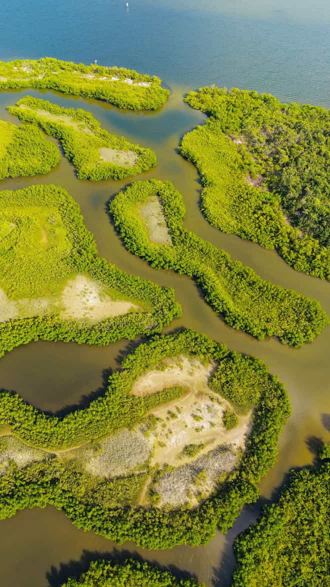 Иллюстративный кадр экскурсии «Национальный парк Лос-Айтисес» — фото: Chris The Island / Pexels