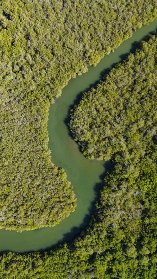 Los Haitises National Park: A Complete Tour Guide