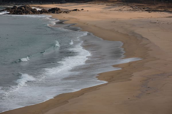 Macao vs Bavaro Beach: Which to Visit in Punta Cana