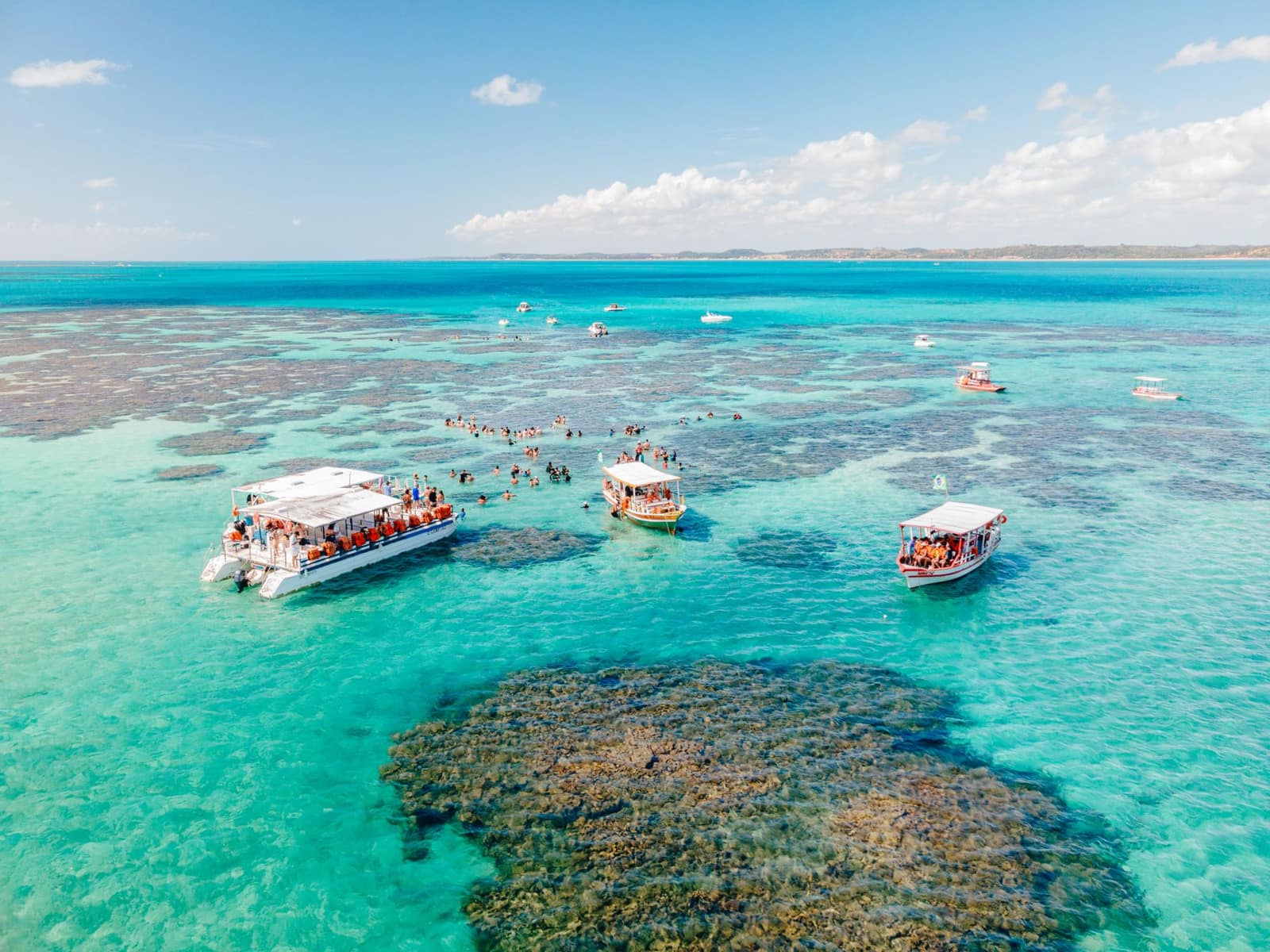 Scena che illustra l'escursione Marinarium — foto di Lucas Meneses via Pexels