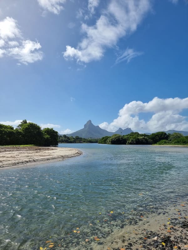 Montaña Redonda: the swings, the views, and the photos