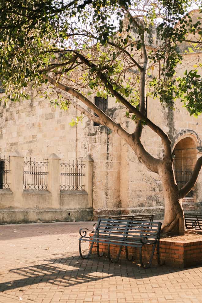 Scène illustrant l'excursion à Zone Coloniale de Saint-Domingue — photo de SJ Objio via Pexels