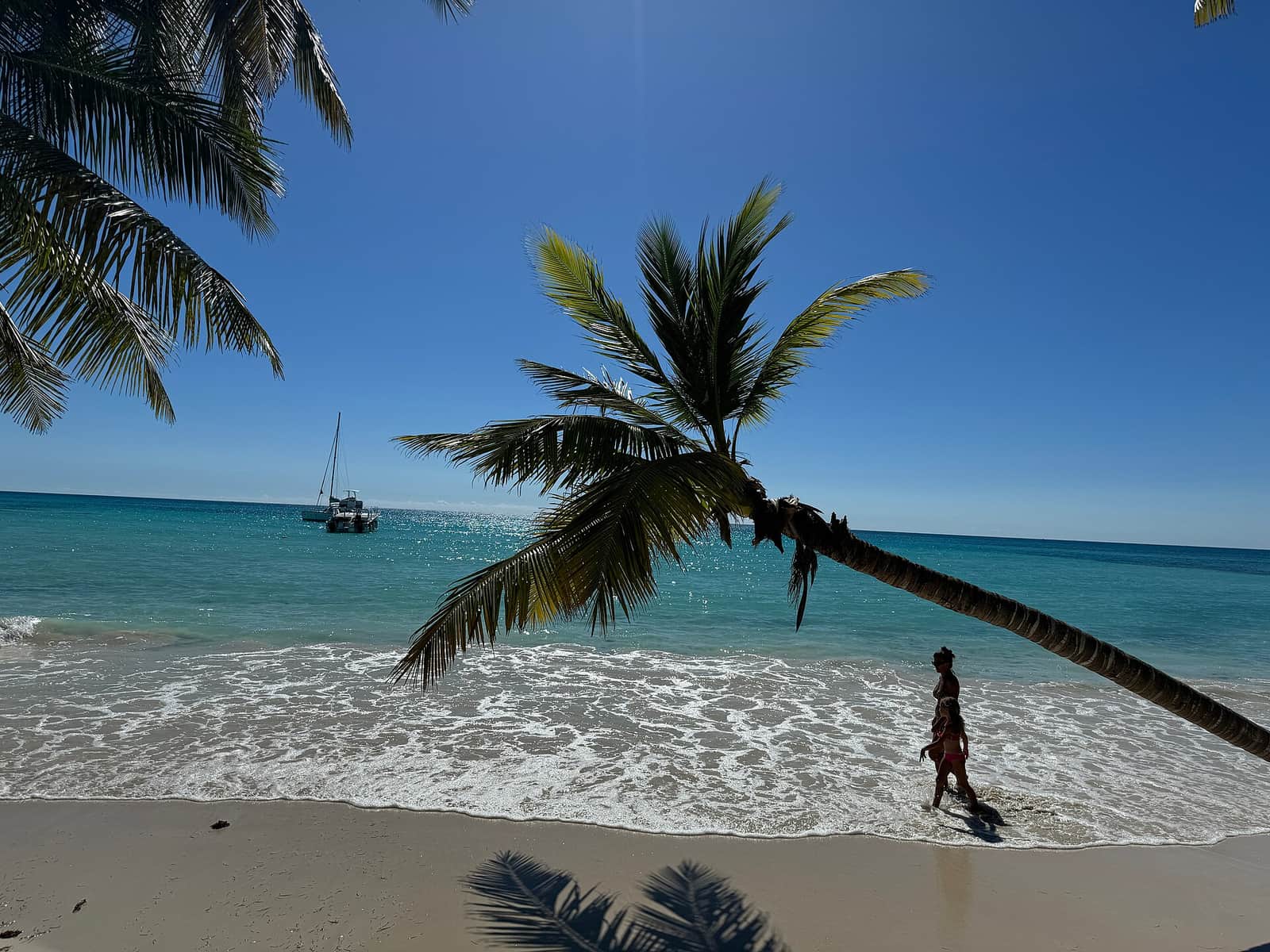 Saona-eiland, Dominicaanse Republiek — foto door Oleg Yunakov via Wikimedia Commons