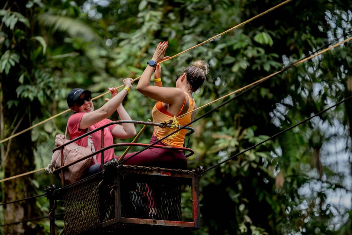 Escena il·lustrant l'excursió Evolution Park — foto de spencphoto via Pexels