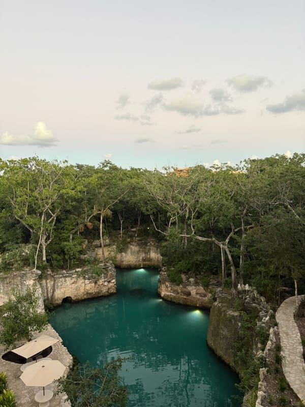 Turquoise cenote surrounded by lush greenery