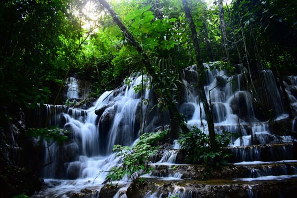 Waterfall cascading through tropical jungle